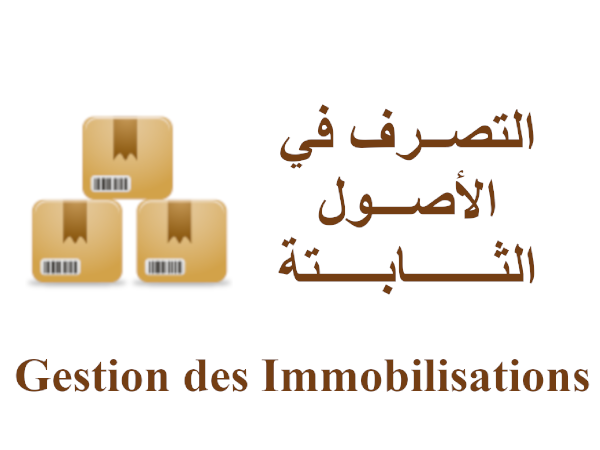 Immobilisations