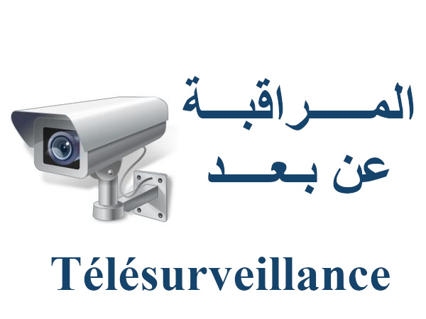 Télésurveillance